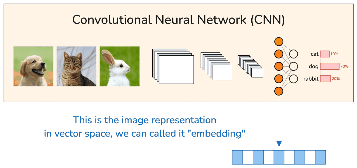 A convolutional neural network turning photographs of a dog, a cat and a rabbit into class scores, with the intermediate layer labelled "this is the image representation in vector space, we can call it an embedding".
