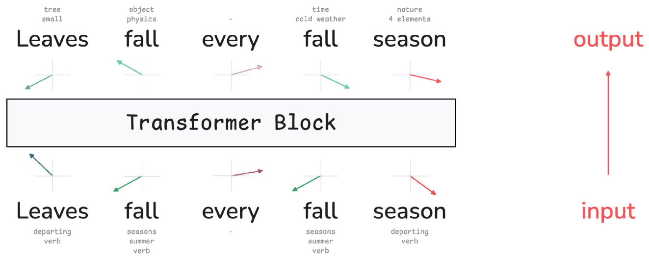 The sentence "Leaves fall every fall season" twice, once entering a box labelled Transformer Block and once leaving it. On the input side each word has arrows pointing to several possible meanings; on the output side each word has one.