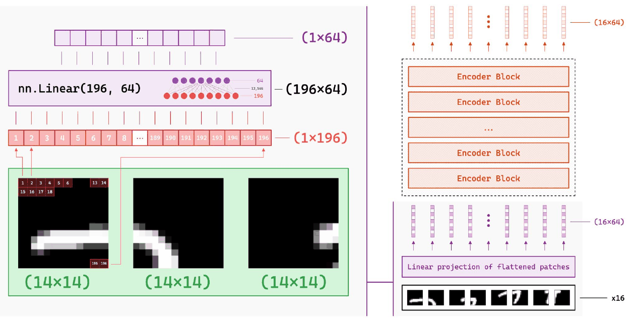 A 14 by 14 patch being flattened into a 196-long vector and passed through nn.Linear(196, 64) to give a 64-dimensional vector, repeated for every patch to give a sequence.